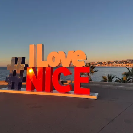 Palais Des Arts Terrasse Cosy Parking Prive 150m Clim Wifi Appartamento Nizza