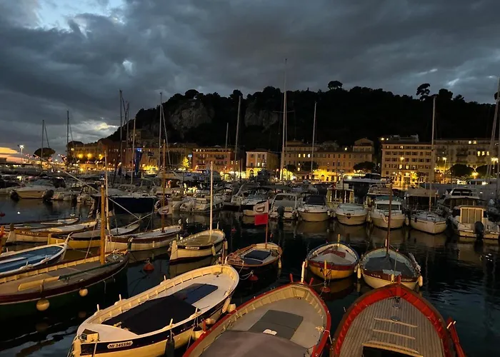 Palais Des Arts Terrasse Cosy Parking Prive 150m Clim Wifi Appartement