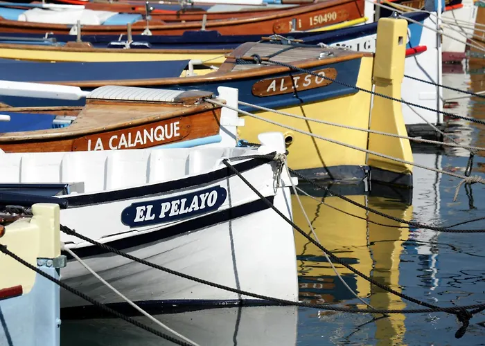 Apartment Palais Des Arts *