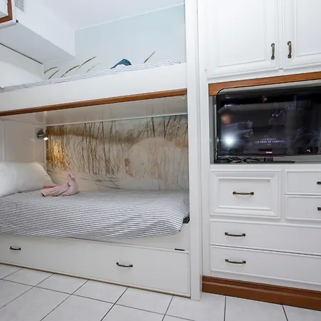 Palais Des Arts Nice